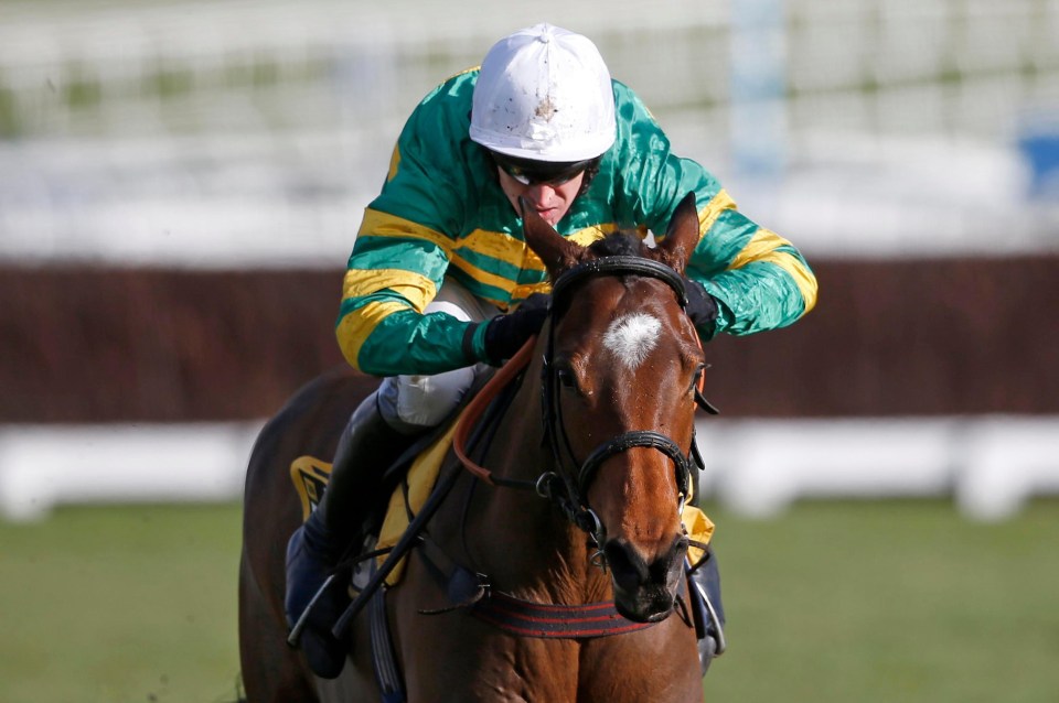 Defi Du Seuil wins at Cheltenham racecourse