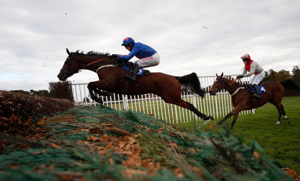 Fontwell racecourse