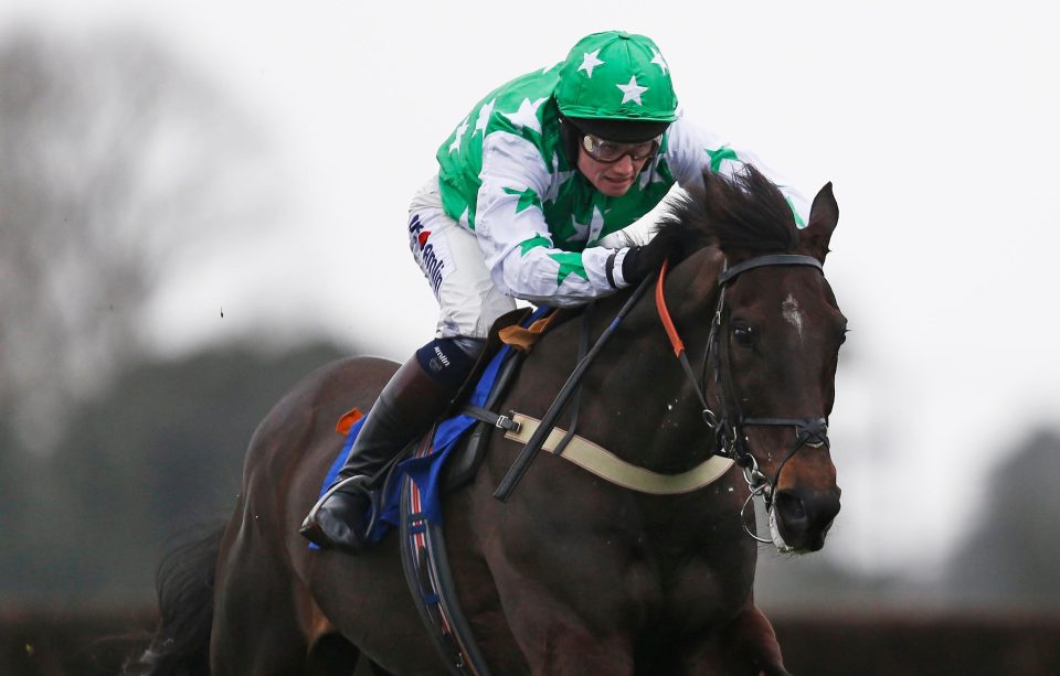  Camping Ground was an impressive winner of the National Spirit Hurdle.