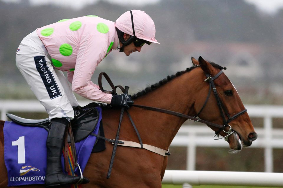  Ruby Walsh to choose between Bapaume (above) and Meri Devie in the JCB Triumph Hurdle