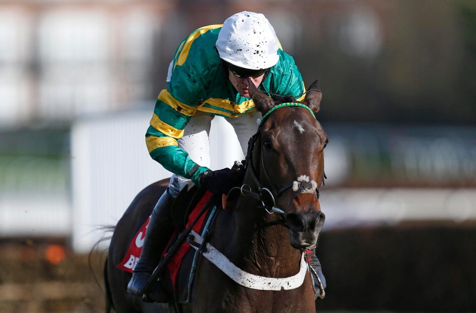  Buveur D'Air is now a big contender in the Champion Hurdle