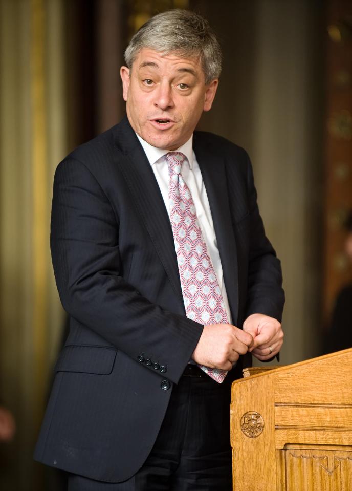  John Bercow stopped any mention in the Commons of the police investigation into his mate Keith Vaz