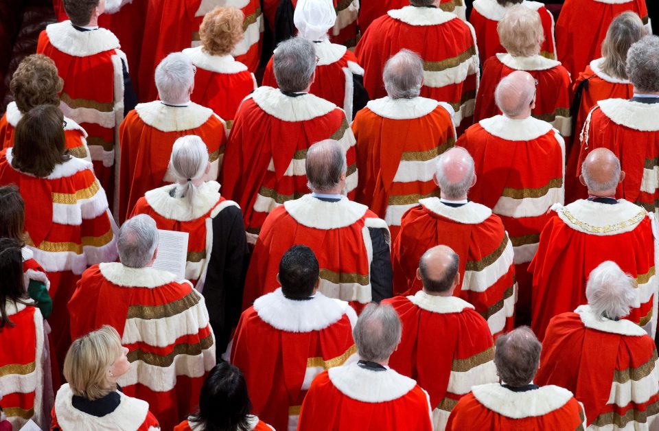  The House of Lords is almost comically unrepresentative of our nation