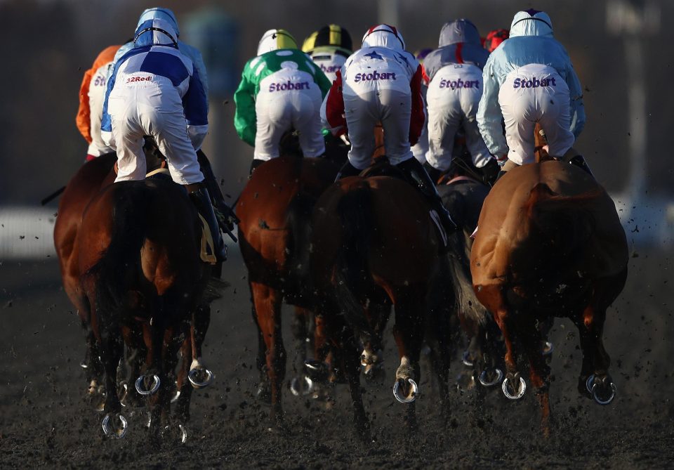 Runners and riders race in the Better Odds With Matchbook Betting Exchange Handicap Stakes at Kempton Park