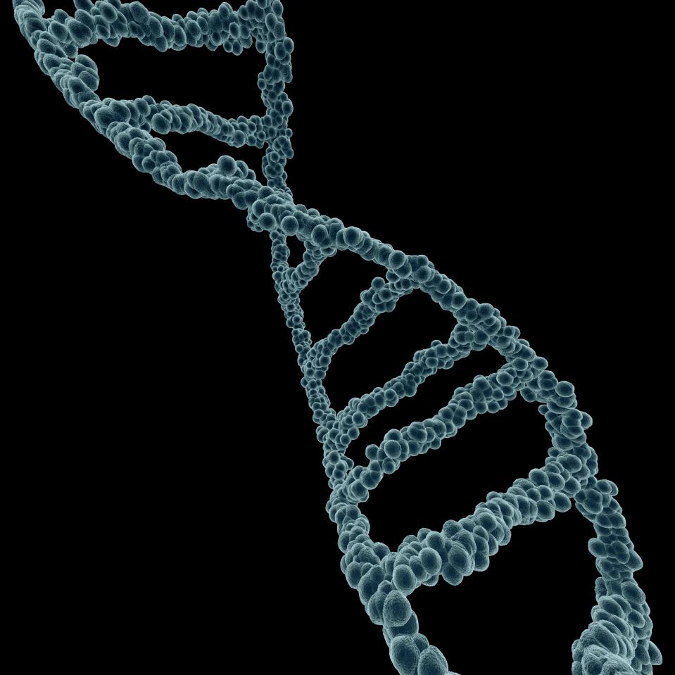 Around 620,000 people in the UK carry a faulty gene that increases their risk of sudden death and heart disease, experts warned today