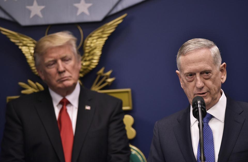  Mattis, nicknamed 'Mad Dog', was appointed by Donald Trump last month