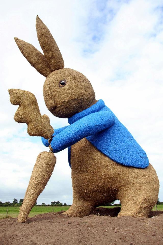  Sculpture of Peter Rabbit was destroyed after being torched by mystery yobs