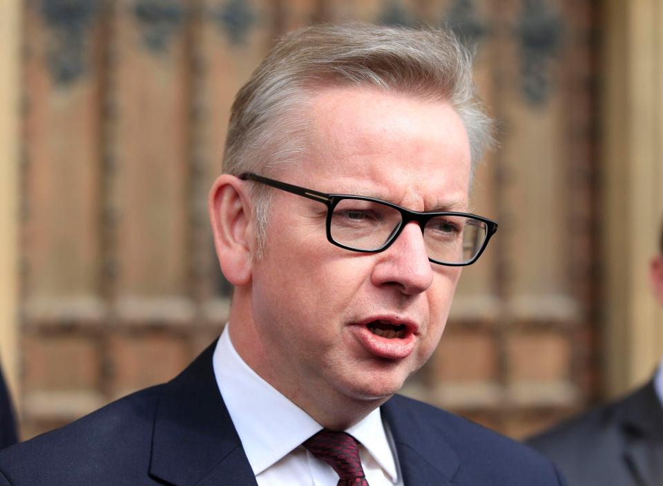  Leave campaigner and former education secretary Michael Gove said MR Blair must respect the vote and stop 'trying to undermine British democracy'