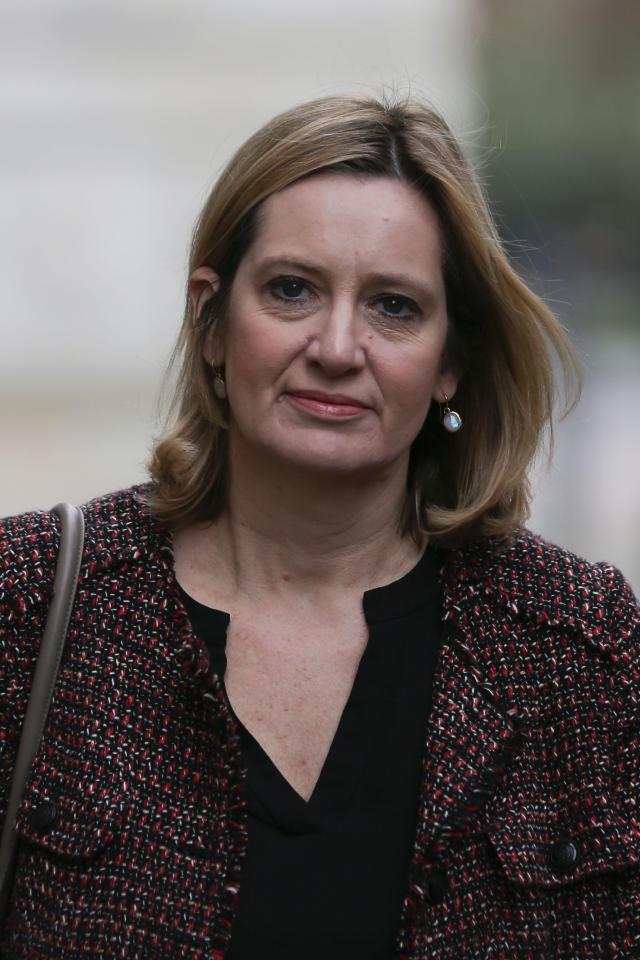  Home Secretary Amber Rudd promised there would be no change to the status of EU nationals without Parliament’s approval first