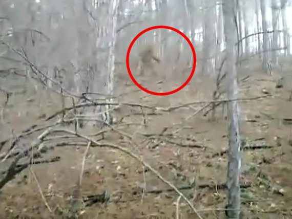  A terrified man caught footage of what he believed to be a Yeti-like figure in a Crimean forest