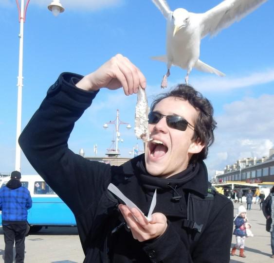  This tourist was enjoying a bit of herring on the beach when an eager gull decided to take their share