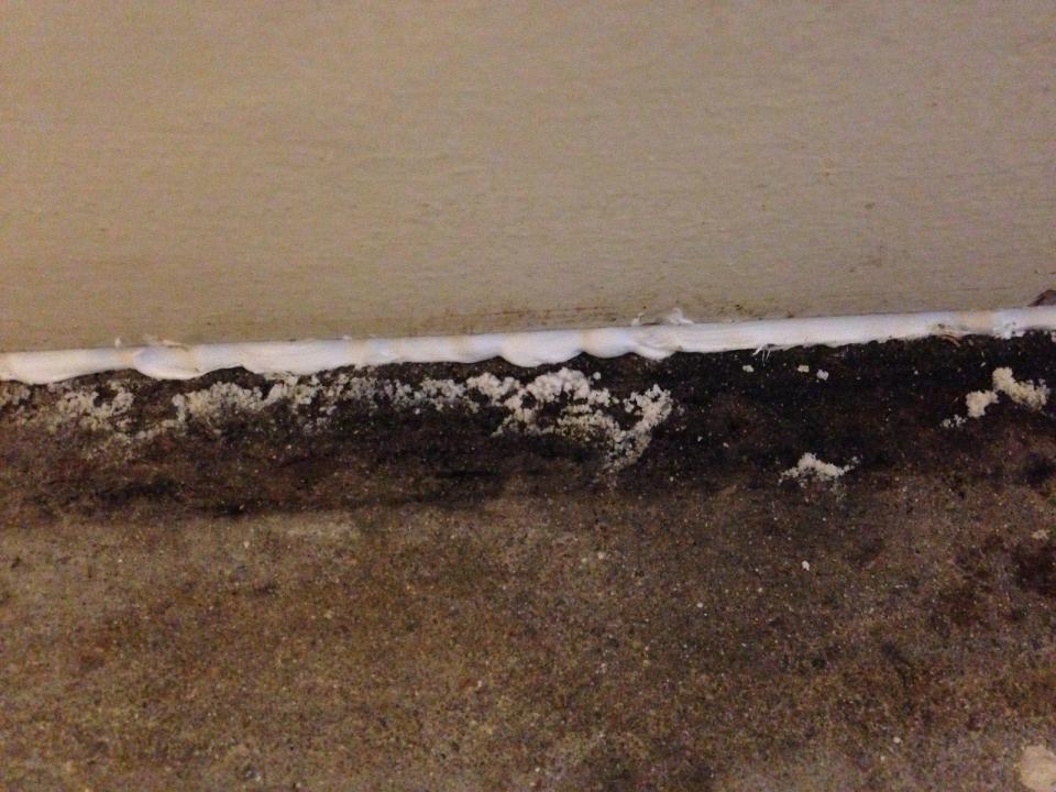 Residents are concerned for their health after damp patches began developing in the newly-built flat block