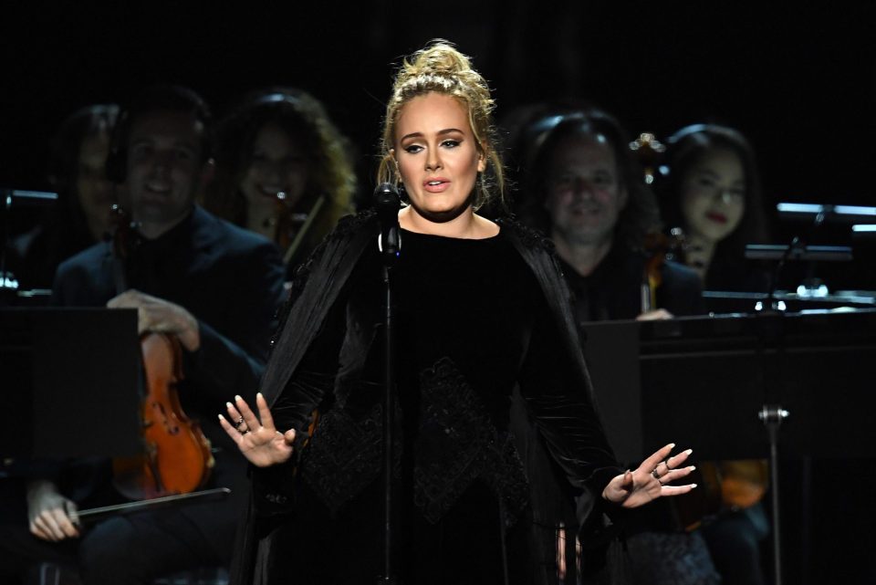  Adele apologised for swearing but was keen to get it right