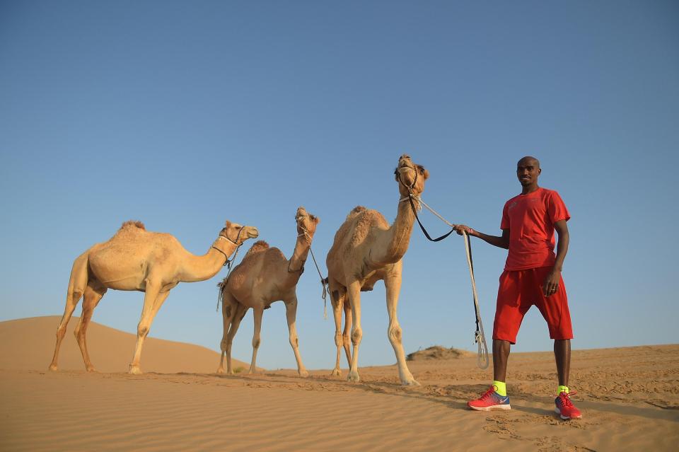 Mo Farah and a host of camels during a trip to the Dubai desert