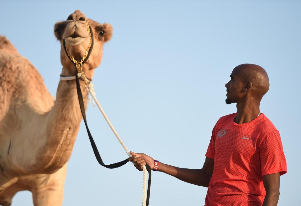 Mo Farah holds on to a camel during his visit to Dubai as he records a tourism video