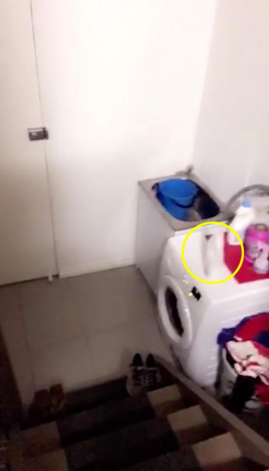  In the video, you see the circled bottle move of it's own accord before Jonny Edwards runs away