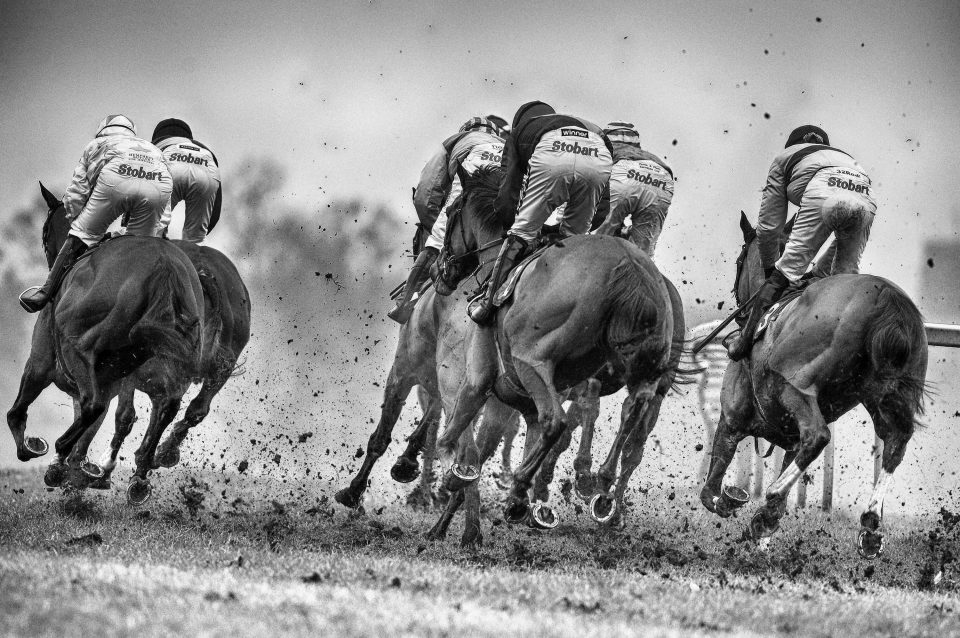 Runners turn down the side of the track at Towcester racecourse