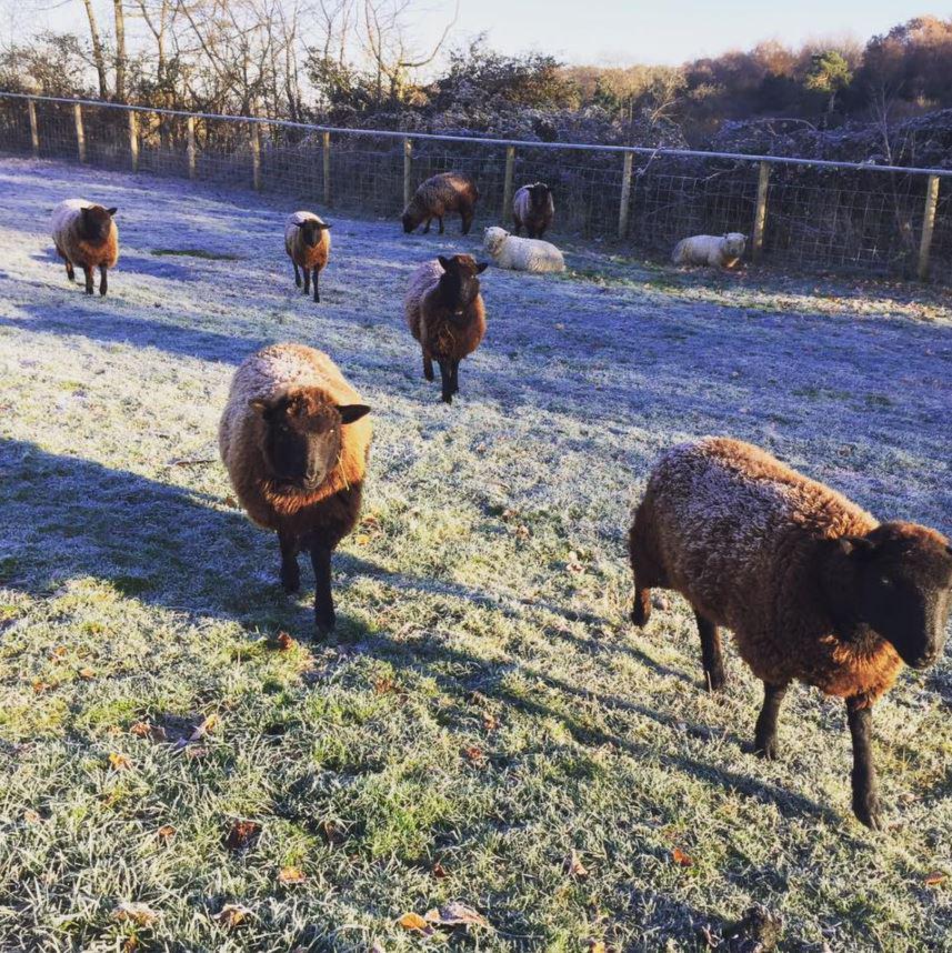  Jimmy owns his own farm in Suffolk