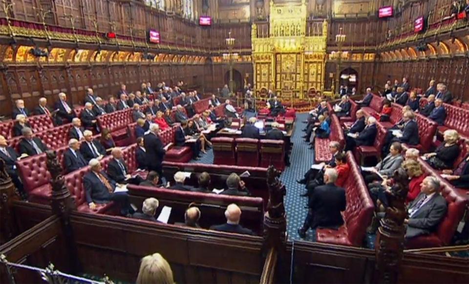  A general view of the House of Lords Chamber