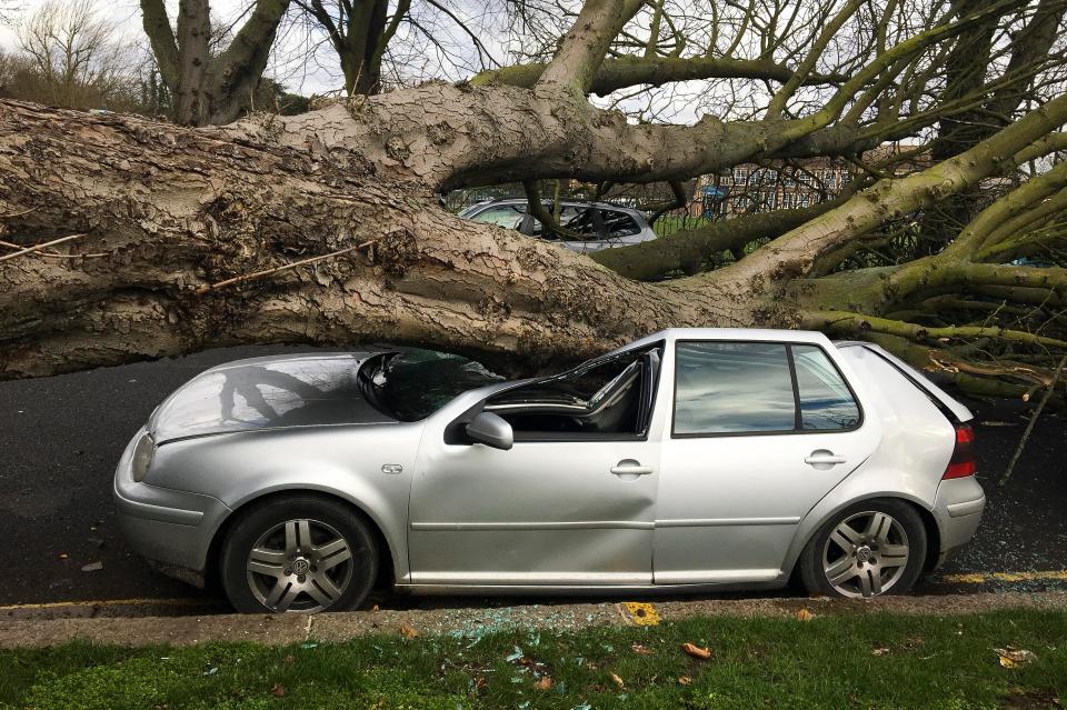  The scene where a large tree has been blown over, crushing cars in Chiswick, West London