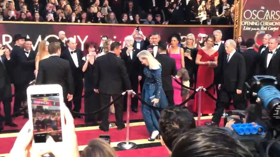  Meryl Streep tripped on the red carpet in her now infamous gown