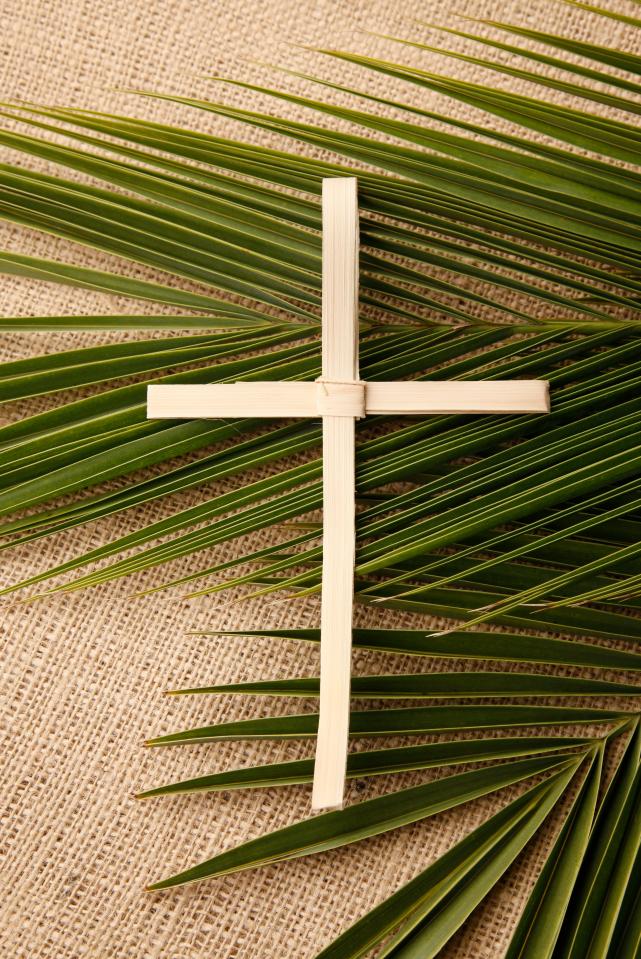  The ash for Ash Wednesday comes from the previous Easter's palm crosses