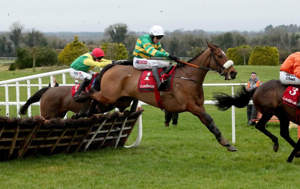 Sutton Place wins at Navan