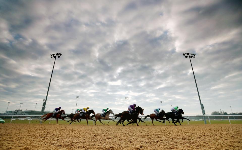 Wolverhampton racecourse