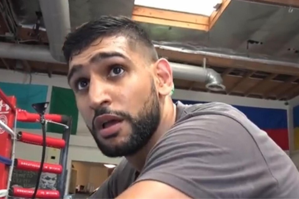 Amir Khan believes Floyd Mayweather will just be too good for Conor McGregor when they have their boxing clash 