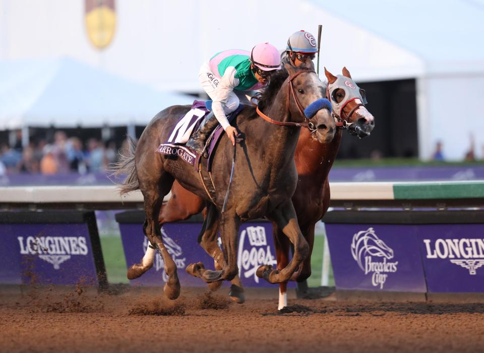  Arrogate will be looking to win his second Breeders' Cup Classic