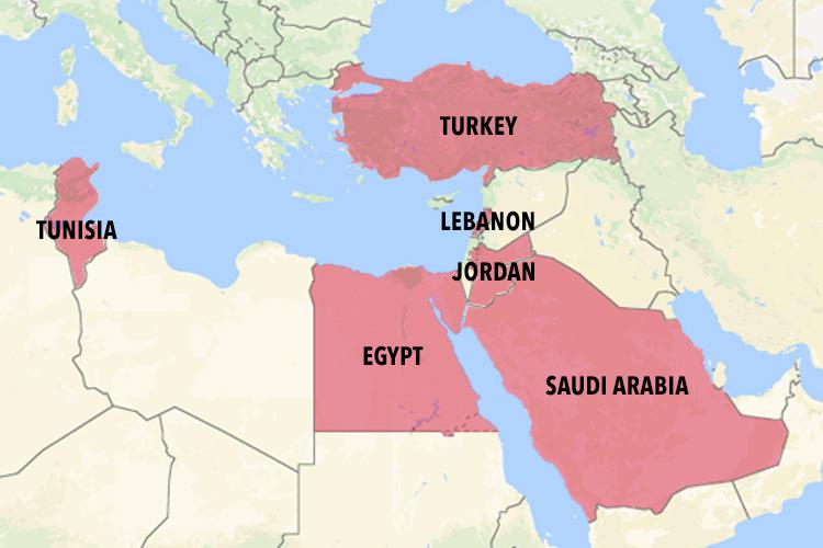  Electronic devices larger than phones on flights are banned from Turkey, Lebanon, Egypt, Saudi Arabia, Jordan and Tunisia