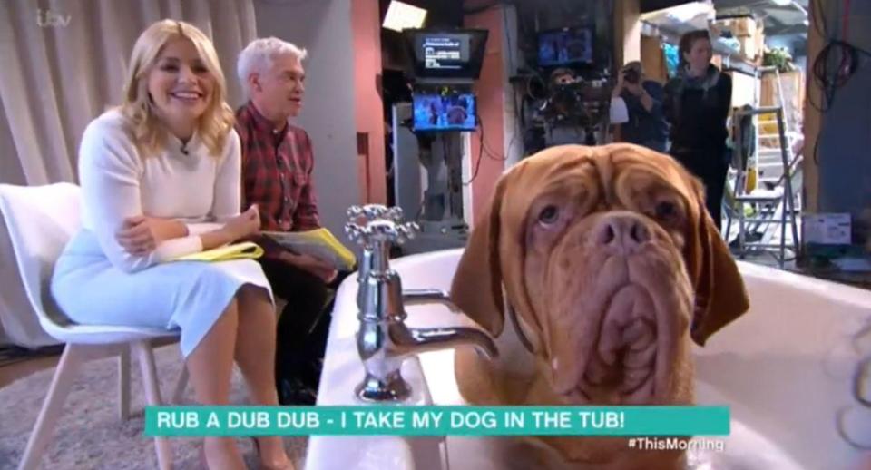  Holly and Phil took part in a very strange interview on This Morning today