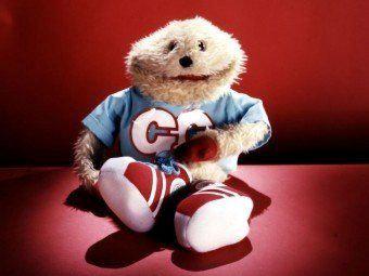  Could Gordon the Gopher come "out of rehab"?