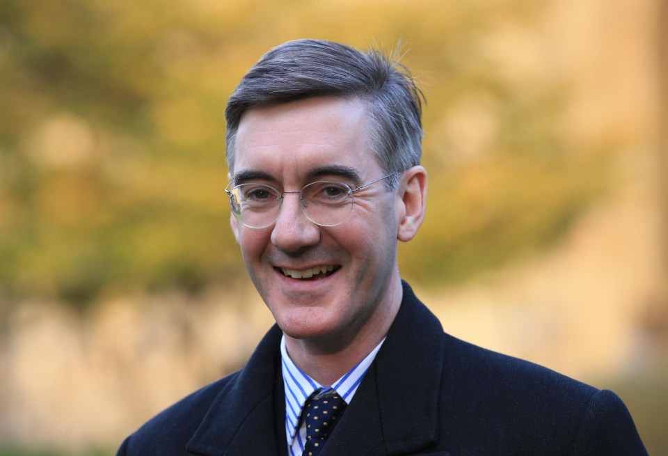 Tory MP Jacob Rees-Mogg has also attacked the measure