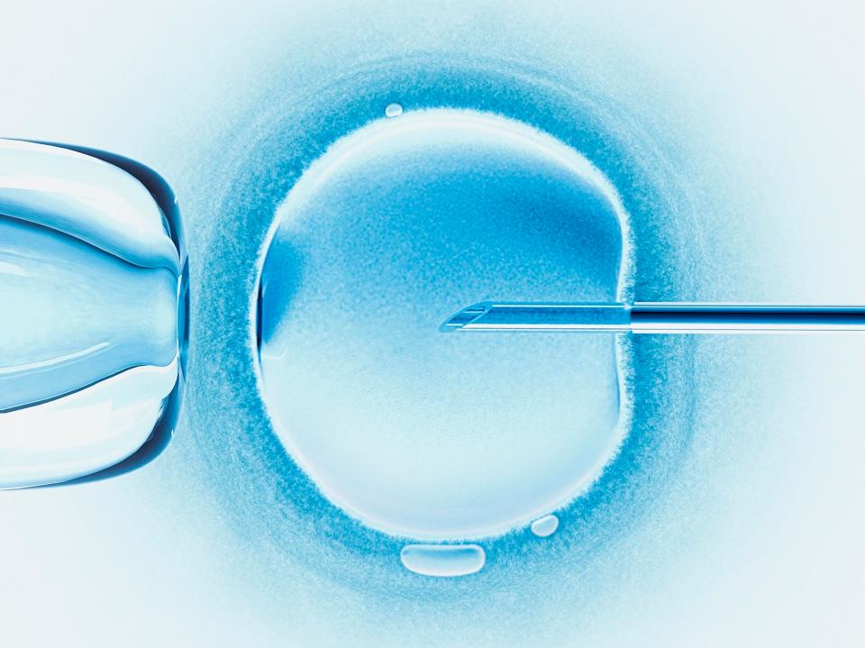  Experts say a similar human embryo could follow within a year, helping scientists investigate infertility and miscarriage