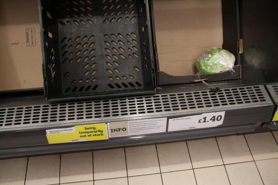  Supermarkets were forced to ration lettuces due to the supply crisis