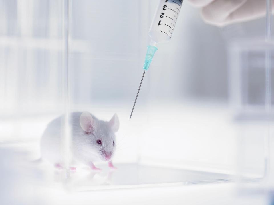  Babies created without sperm or eggs could be a reality after scientists grew artificial mouse embryos from stem cells