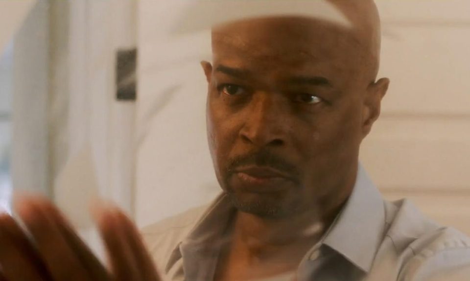  Damon Wayans plays the new version of Murtaugh