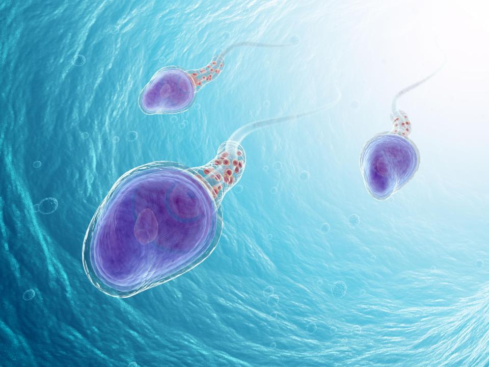  The app tests how strong your sperm can swim