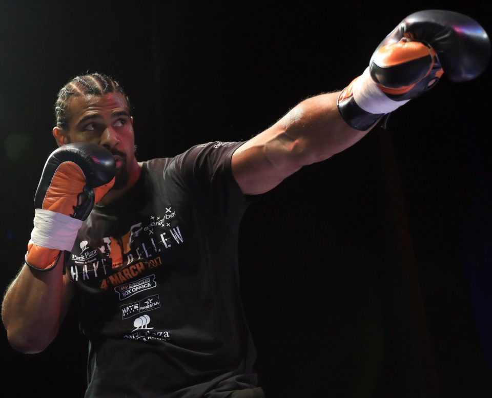  Haye has labelled Bellew's fans 'morons'