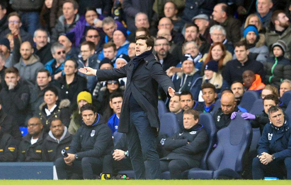 Tottenham chief Mauricio Pochettino says his wife sees him on TV and questions his actions