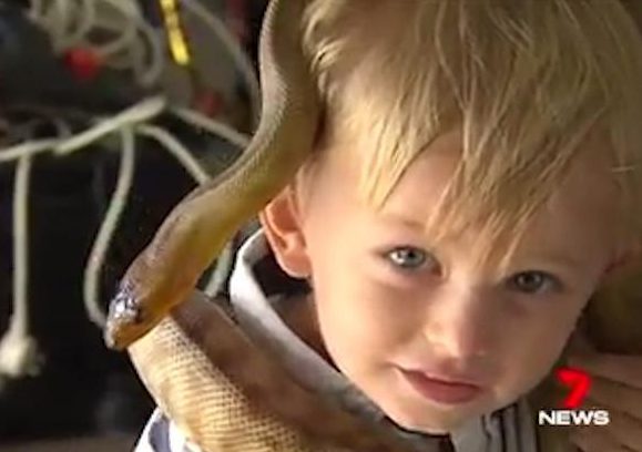 Jensen is comfortable with snakes, having been with them his entire young life