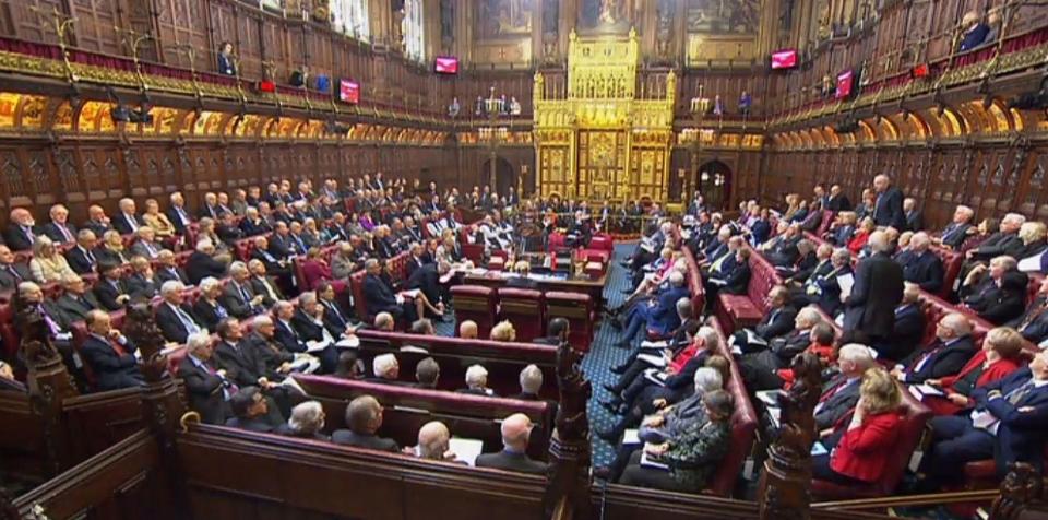  Lords amended the Brexit Bill last week