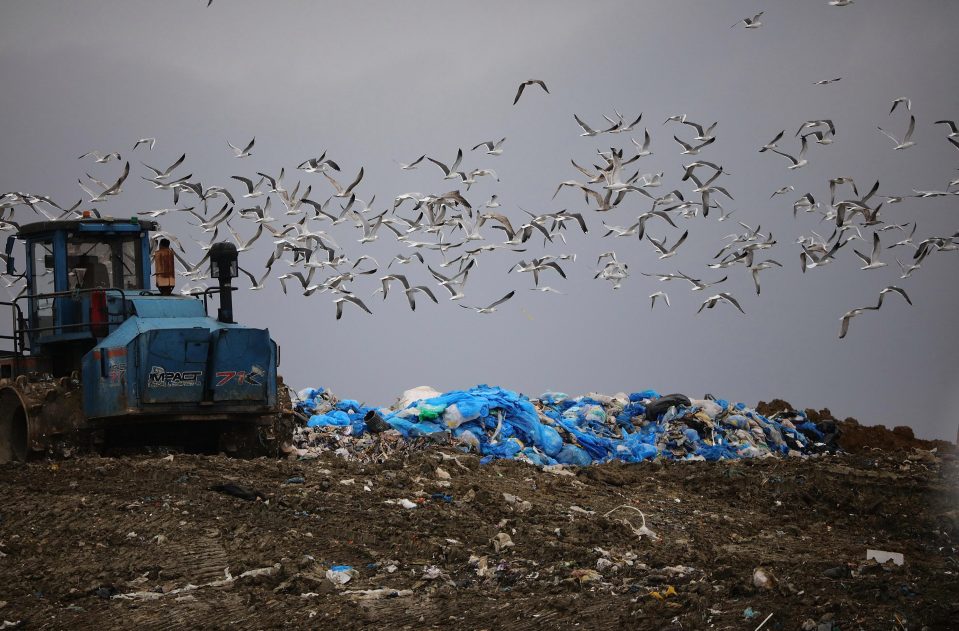  Seagulls captured flying overhead as Corrie's family admit they fear the worse