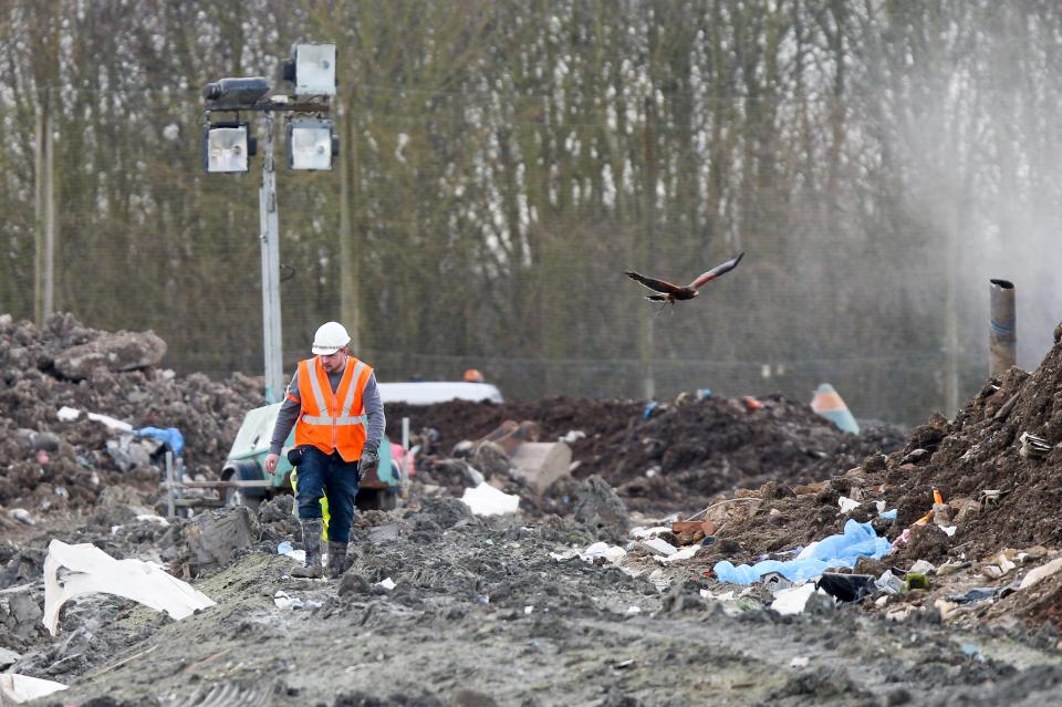 Police have been searching the landfill site in Milton, Cambridgeshire, for missing RAF gunner Corrie McKeague who was last seen on Saturday September 24 in Bury St Edmunds, Suffolk