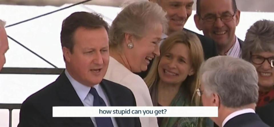  David Cameron appeared to say the move was 'stupid'