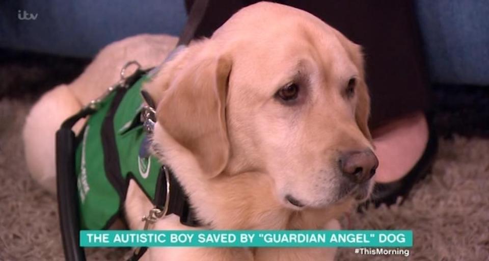  The family brought along their assistance dog, Caddie