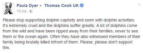  Dolphin fans argue that it is 'cruel and inhumane' to encourage tourists to swim with dolphins