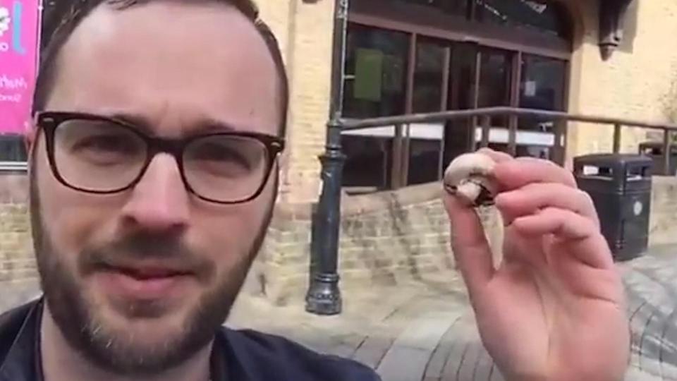  Andy found a mushroom so small and light that it cost just 1p