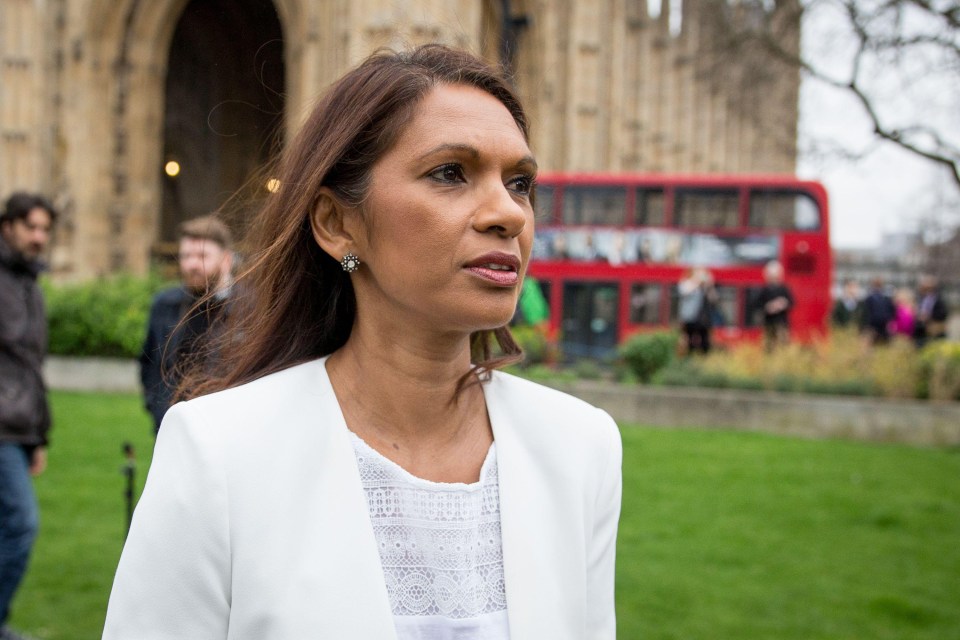 Millionaire Gina Miller also waded in and threatened another legal case 